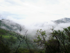Katery Falls & Dam