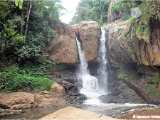 Law Falls