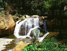 Law Falls