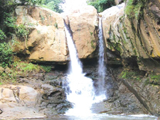 Law Falls