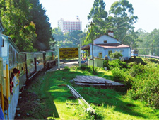 Wellington