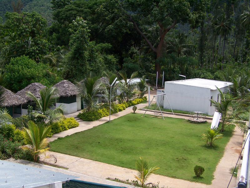Image 4