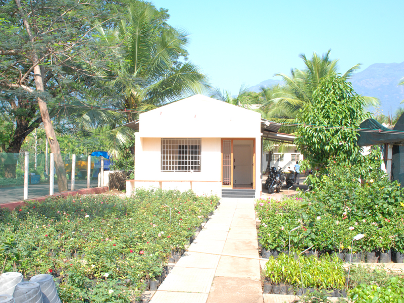 Image 10