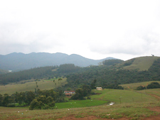 Mettupalayam hotles