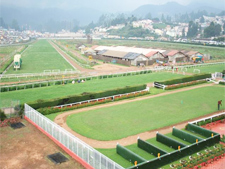 Lodges in mettupalayam