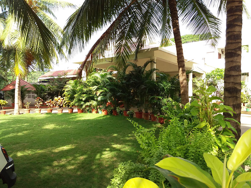 Image 12